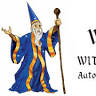 Wizard With Wires