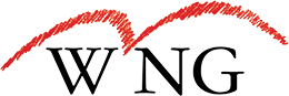 Wireless Network Group