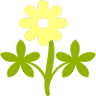 Wodonga Plant Farm