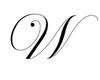 Wolf Design Jewelry