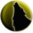Tehnički pregled Wolf Master