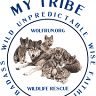 Wolf Run Wildlife Sanctuary