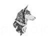 Wølv collars