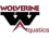 Wolverine Aquatics Club