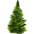 Woodland Dental: Ryan Anderson DDS