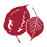 Woodland Hill Montessori School