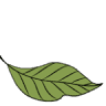 Woodmont Terrace