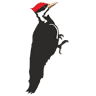 Woodpecker Service Apartments