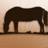 Working Horse Tack