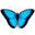 Nature's Workshop Plus, Inc