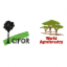 ICRAF - Iniciativa Amazônica