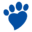 World Veterinária
