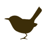 Wren & Willow, Inc.