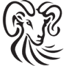 WSP Textiles Ltd