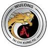 Wulong Tai Chi Kung Fu