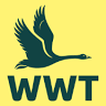 WWT Llanelli Wetland Centre