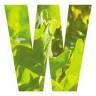 Wychwood Wild Garden