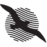 Albatros
