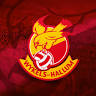 S.V. Wykels Hallum