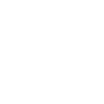 Wythe County Joint Industrial Development Authority (Economic Development Office)