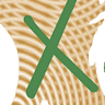 Xardinor S L