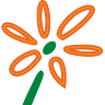 Blumen Gröhsges Pelm