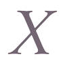 X Style