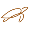 Queensland Yacht Charters