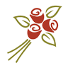 Flores Bizkaia