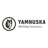 Yamnuska Wolfdog Sanctuary