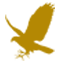 Yarak Birds of Prey
