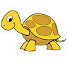 Yellow Turtle