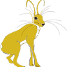 Yellow Hare