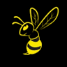 Yellow Jackets Gymnastics Club