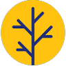 Yellow Wood Academy