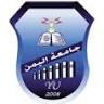 Yemen University