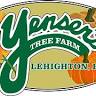 Yenser's Tree Farm