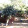 Green Valley Picnic Area