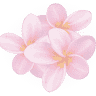 Yin Dii Massagesalon