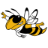 Yellow Jacket Flying Club