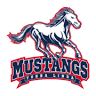 Yorba Linda HS Varsity Softball Field
