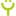 YNOT