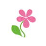 Sumire Dental