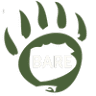 Yoga Bare - Yoga, Sauna, Massage, Pilates