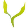 Yoga Heemstede