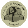 Yoga Iyengar Abhyasa
