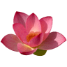 YogaRaum Santosha