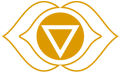 Centro de Yoga Satyananda