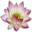 Yogaschule Christa Daun