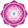 Yogashala Institute Marbella